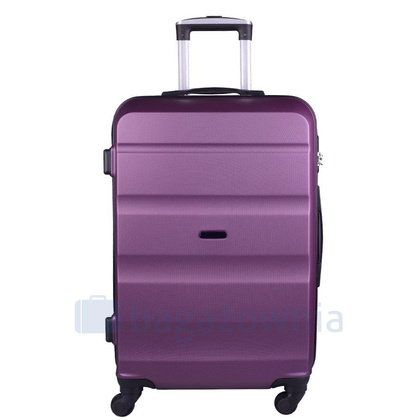 Mała kabinowa walizka WINGS AT01 S Tea Green