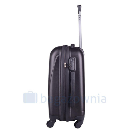 Mała kabinowa walizka WINGS 310 S Szara