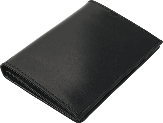 Etui na wizytówki 20401301