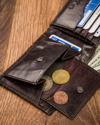 Portfel męski skórzany always wild N015-VTK-D Brązowy