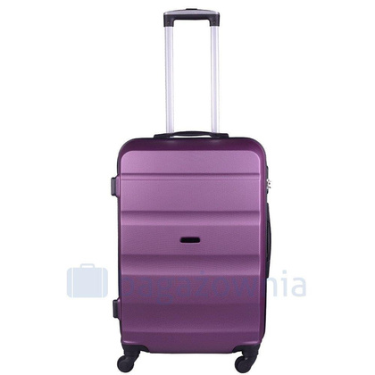 Mała kabinowa walizka WINGS AT01 S Tea Green