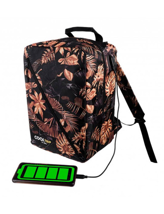 Plecak Torba podróżna podręczna PELLUCCI RGL Wizzair 37A USB Liście