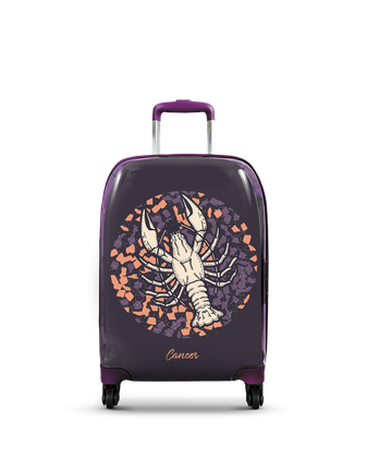 Mała kabinowa walizka Rak