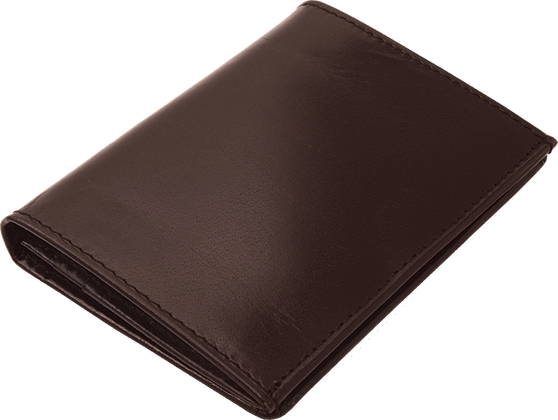 Etui na wizytówki 20401302