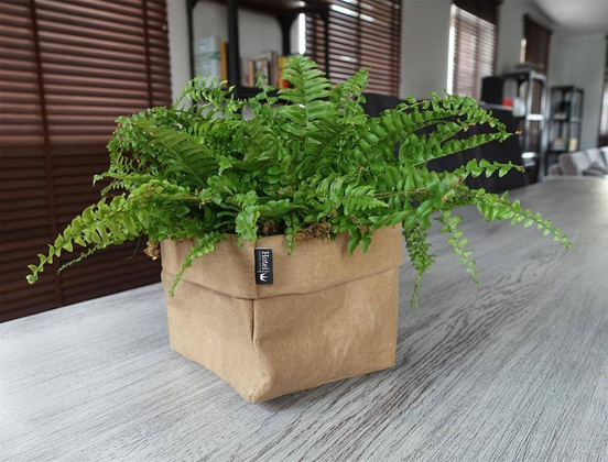 Wash Paper bag 950106 - min. zamówienie 20 / 50 / 100 szt.