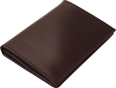 Etui na wizytówki 20401302